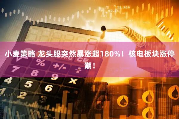 小麦策略 龙头股突然暴涨超180%！核电板块涨停潮！