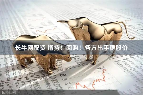 长牛网配资 增持！回购！各方出手稳股价
