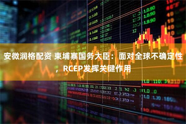 安微润格配资 柬埔寨国务大臣：面对全球不确定性，RCEP发挥关键作用