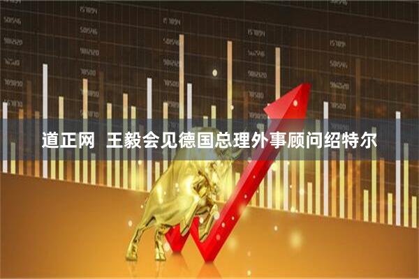 道正网  王毅会见德国总理外事顾问绍特尔