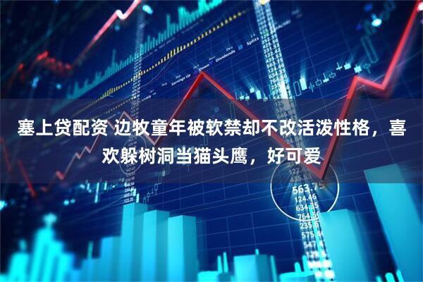 塞上贷配资 边牧童年被软禁却不改活泼性格，喜欢躲树洞当猫头鹰，好可爱