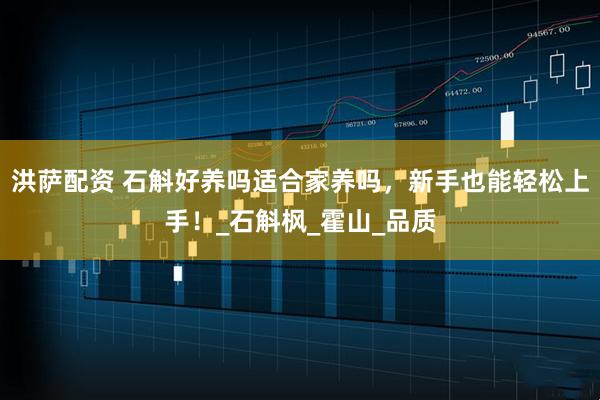 洪萨配资 石斛好养吗适合家养吗，新手也能轻松上手！_石斛枫_霍山_品质