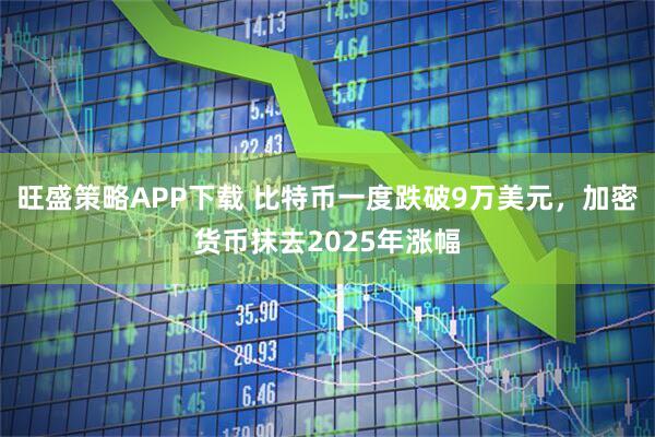 旺盛策略APP下载 比特币一度跌破9万美元，加密货币抹去2025年涨幅
